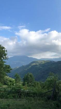 Khatera S - Grossmount-Cuyamaca Babysitter