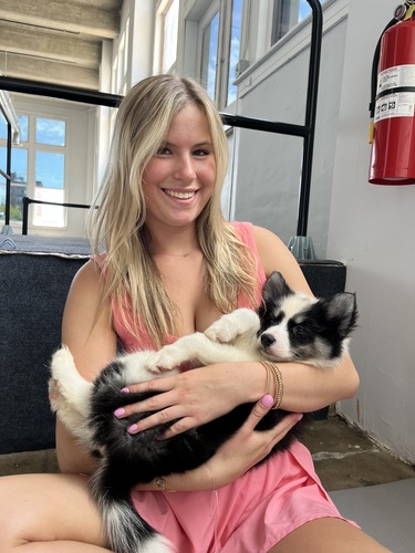 Madison P - Lincoln Land Community College  Babysitter