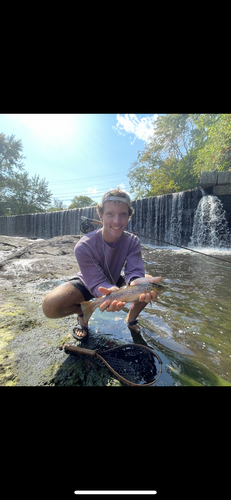 Miles M - Bates Babysitter