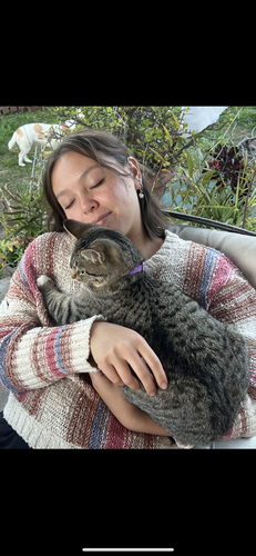 Alisa J - Cal State San Marcos Babysitter