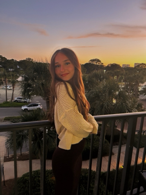 Ariana P - Triton College  Babysitter