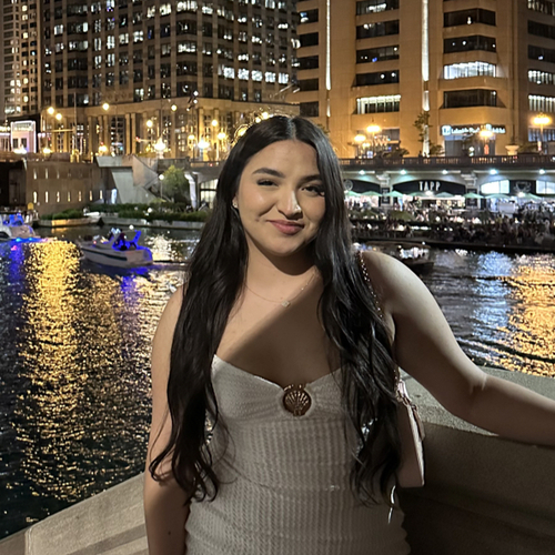 Karina N - Moraine Valley Babysitter