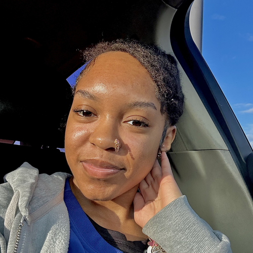 Alyssa H - Wayne County Community College District Babysitter