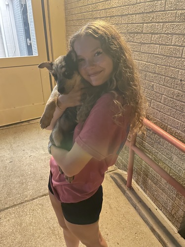 Makensie W - Texas A&M-Kingsville Babysitter