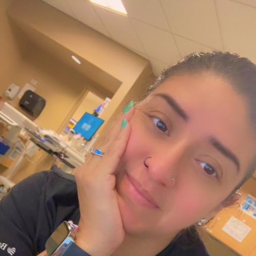 Astrid M - Glendale Community College (AZ) Babysitter