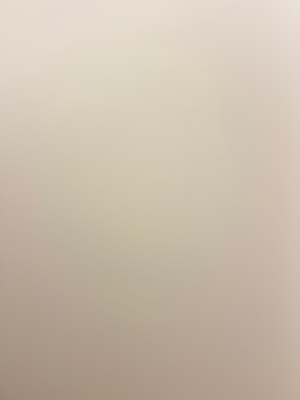 Baysia O - Cal State East Bay Babysitter