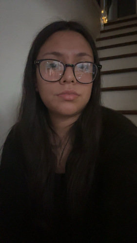 Brisa A - Housatonic Community College  Babysitter