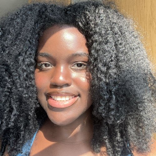 Bria E - Gateway Community & Technical College Babysitter