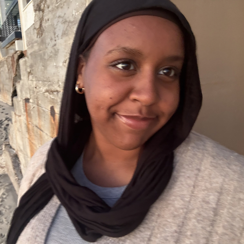 Aisha A - Grossmount-Cuyamaca Babysitter