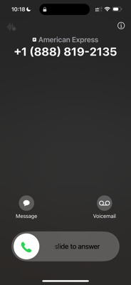 Amy B - Ashland Babysitter