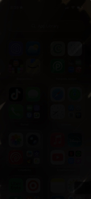 Olivia O - BC Babysitter