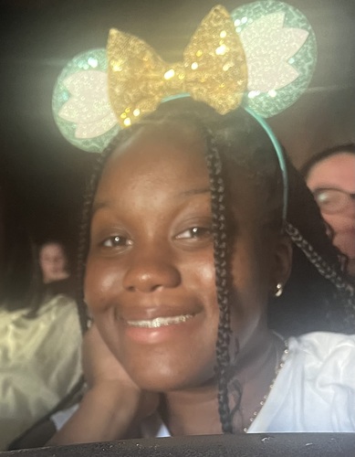 Diamond B - LSU Babysitter