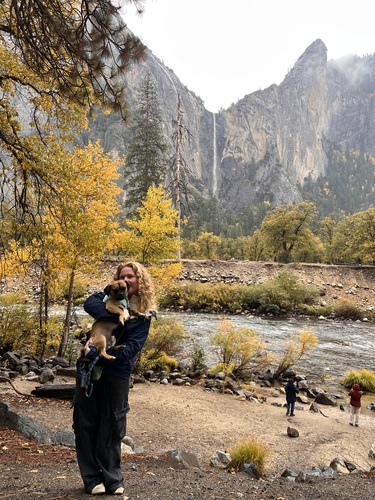 Maisey M - SMC Babysitter