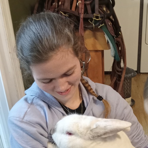 Sophia D - Liberty Babysitter