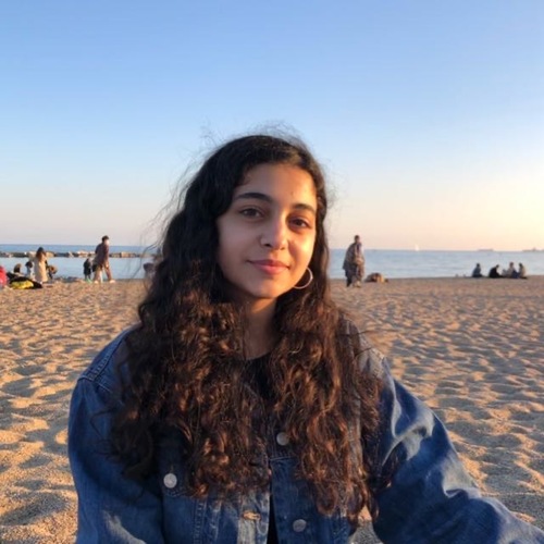 Dima S - UIUC Babysitter