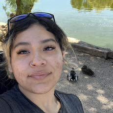 Jade F - San Jose City College  Babysitter