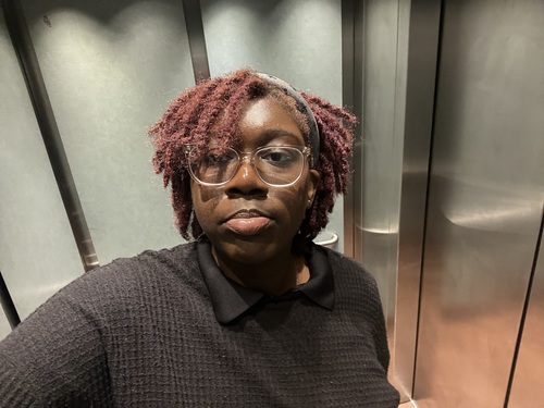 Shayla S - Savannah State Babysitter