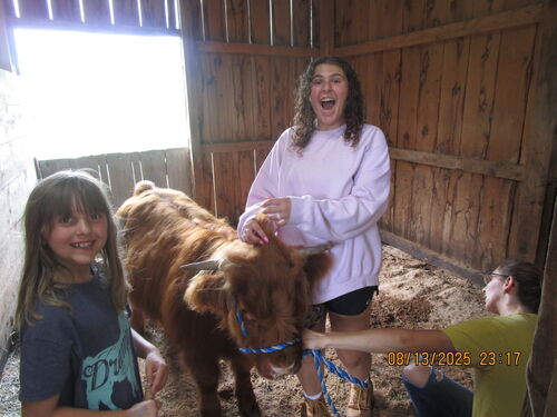 Brooke H - Assumption Babysitter