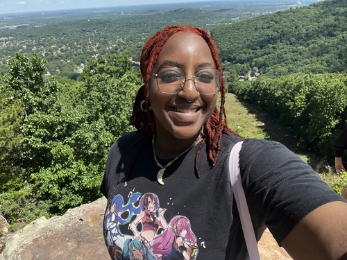 Zion T - UA Huntsvile Babysitter