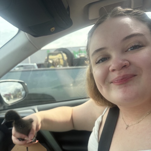 Kaylee M - Metropolitan Community College-Maple Woods Babysitter