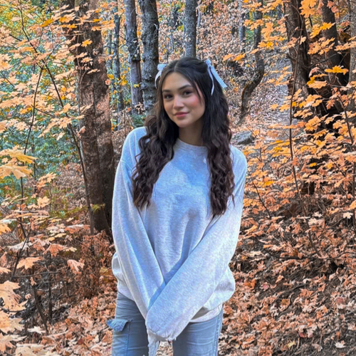 Abrianna T - GCU Babysitter