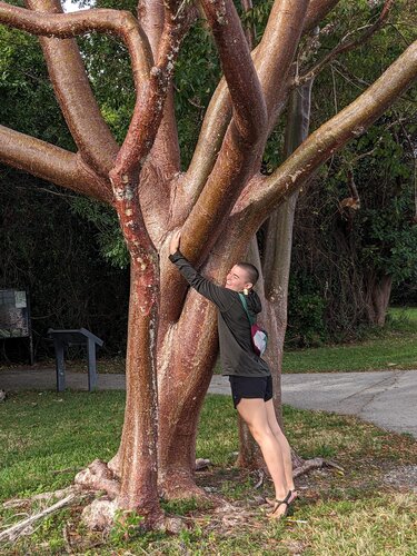 Sydney K - CCS Babysitter