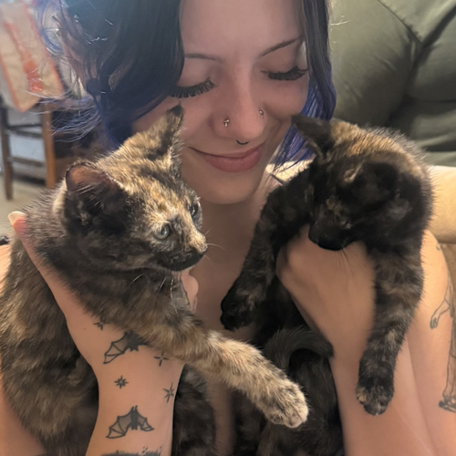 Mars J - Wilkes Community College  Babysitter