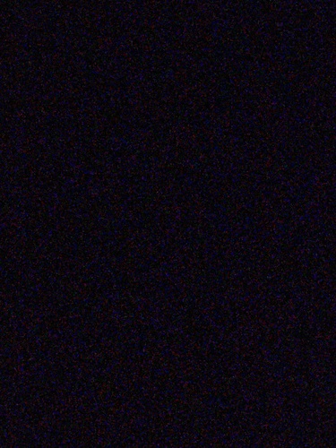 Destinee B - Concord Babysitter