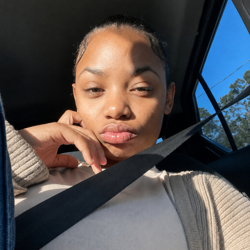 Anisa H - Daytona State Babysitter