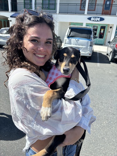 Ella C - Auburn Babysitter