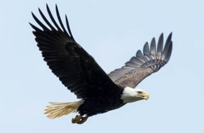 Shaquita G - Mississippi State Babysitter