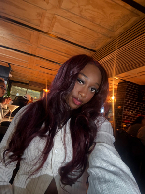 Dominique D - Towson University Babysitter