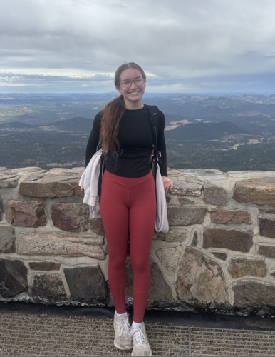 Andaira L - CSC Babysitter