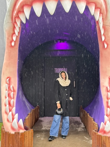 Lovn S - WGU Babysitter