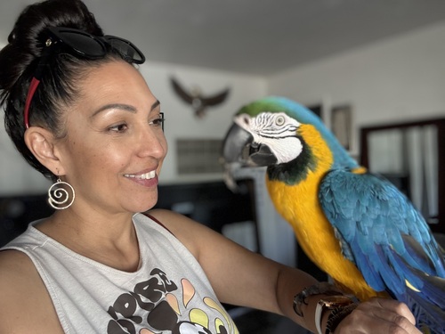 Christy L - Ashford Babysitter