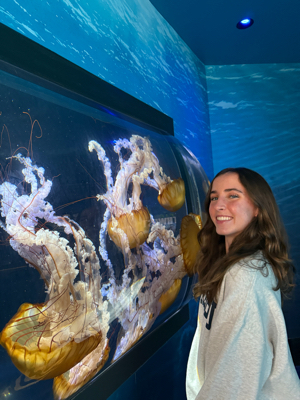 Lucy S - USD Babysitter