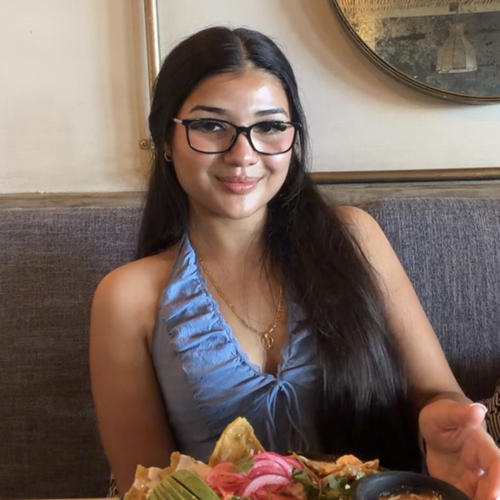 Emylee F - Evergreen Valley College  Babysitter