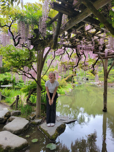 Hannah D - MSU Bozeman Babysitter