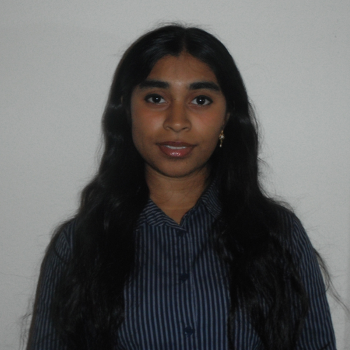 Archana S - Texas A&M Babysitter