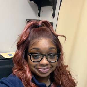 LaDaisia M - Troy Babysitter