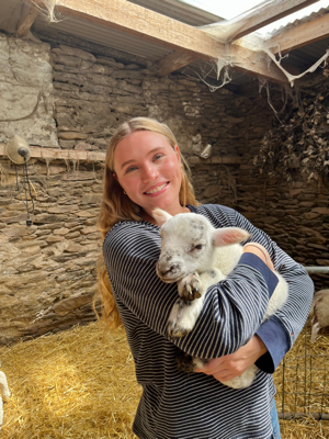 Mary R - NC State Babysitter