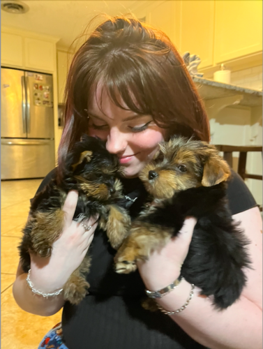 Macaleigh D - LA Tech Babysitter