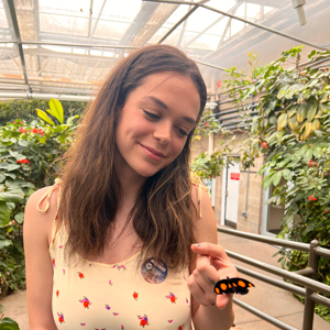 Lily N - Colorado Babysitter