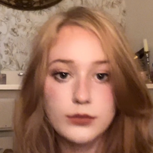 Sophie W – UAB Student Seeking Babysitting Jobs