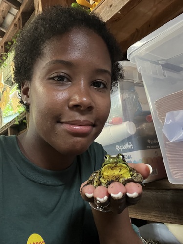 Kimberly C - Northwestern Connecticut Community College Babysitter