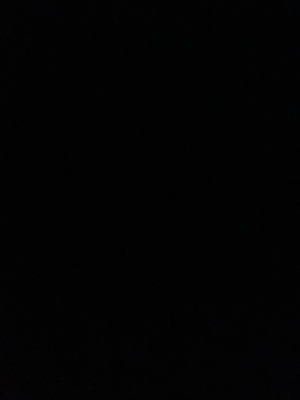 Natalie H - Wright State Babysitter