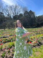 Abby B – Belmont Student Seeking Babysitting Jobs