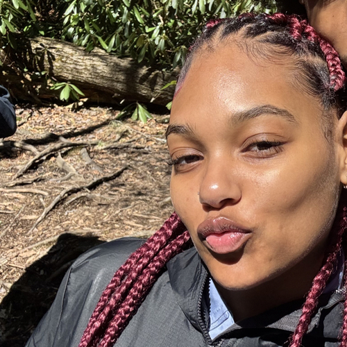 Taylor E - Community College of Baltimore County Babysitter