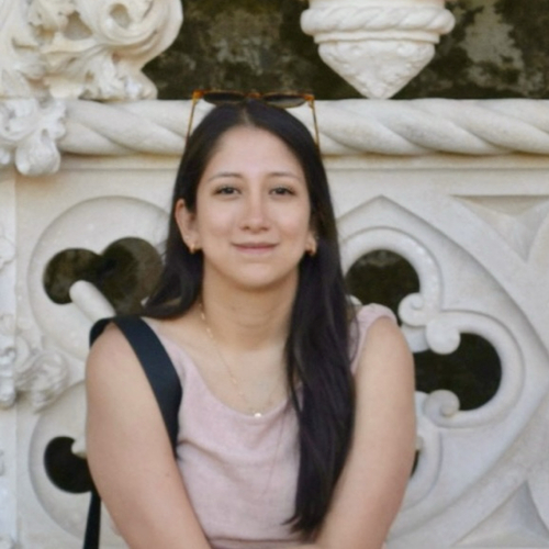 Diana Carolina C - Rice Babysitter