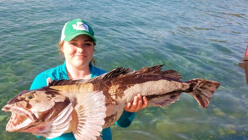 Chloe F - OCCC Babysitter